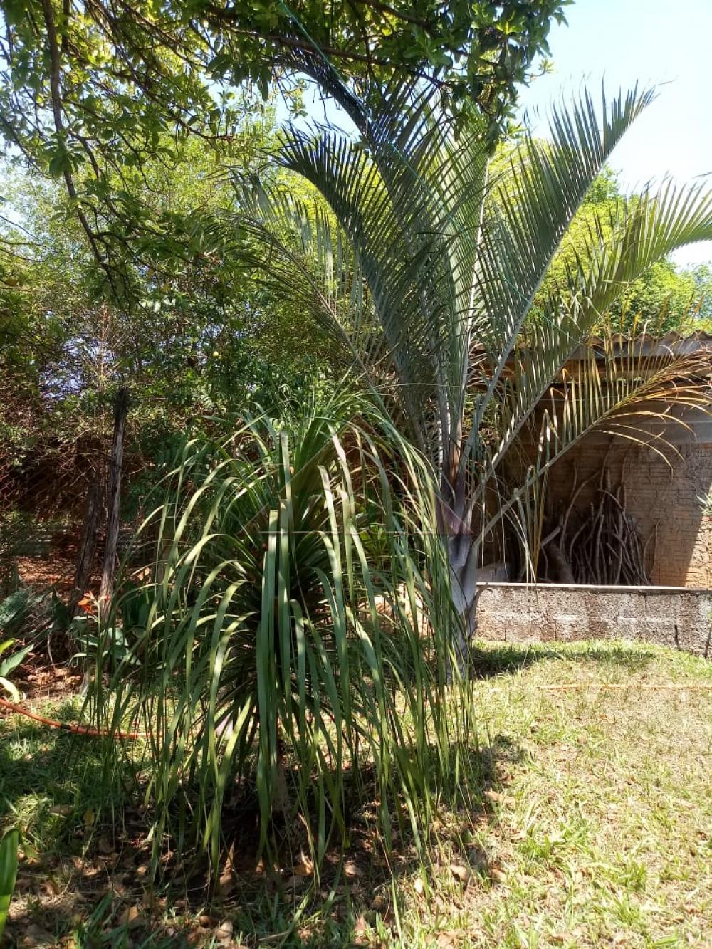 Comprar Casas / Casa em Serra Azul R$ 155.000,00 - Foto 12