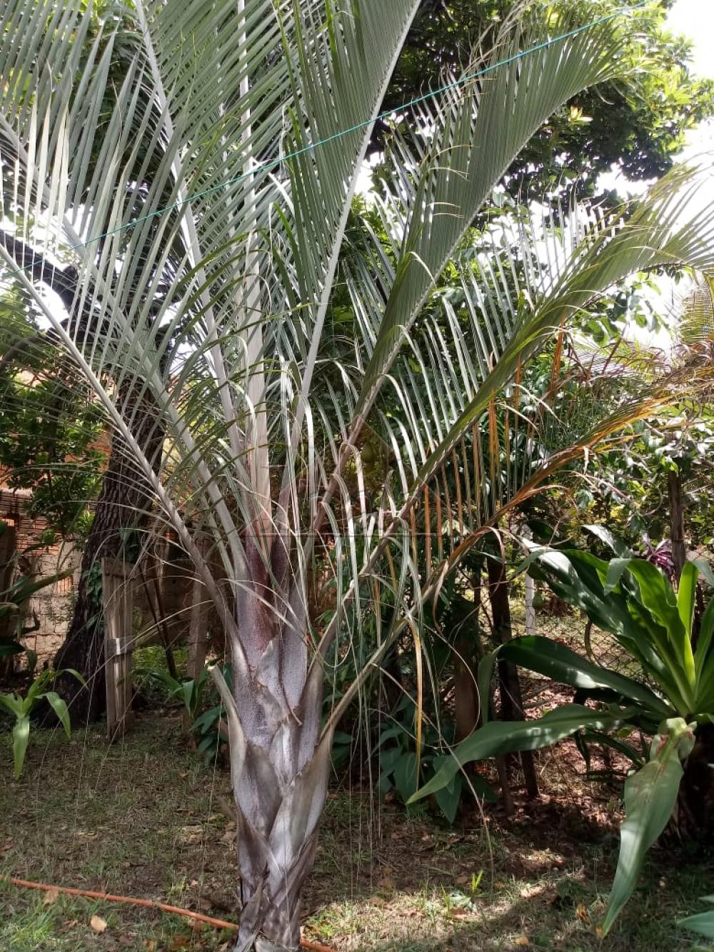 Comprar Casas / Casa em Serra Azul R$ 155.000,00 - Foto 14