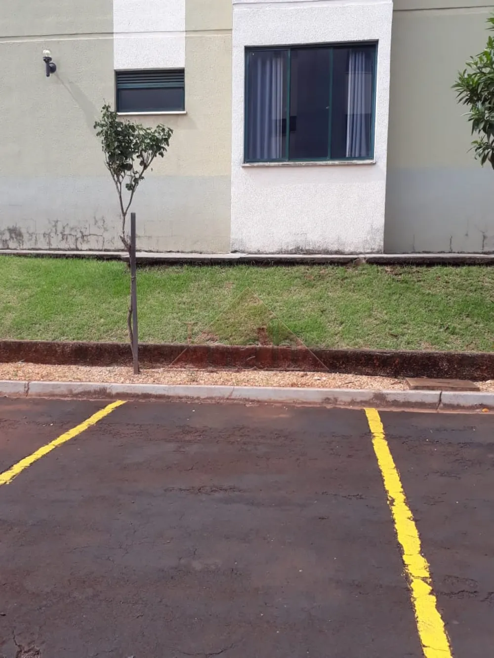 Alugar Apartamentos / Apartamento em Ribeir&atilde;o Preto R$ 1.000,00 - Foto 13