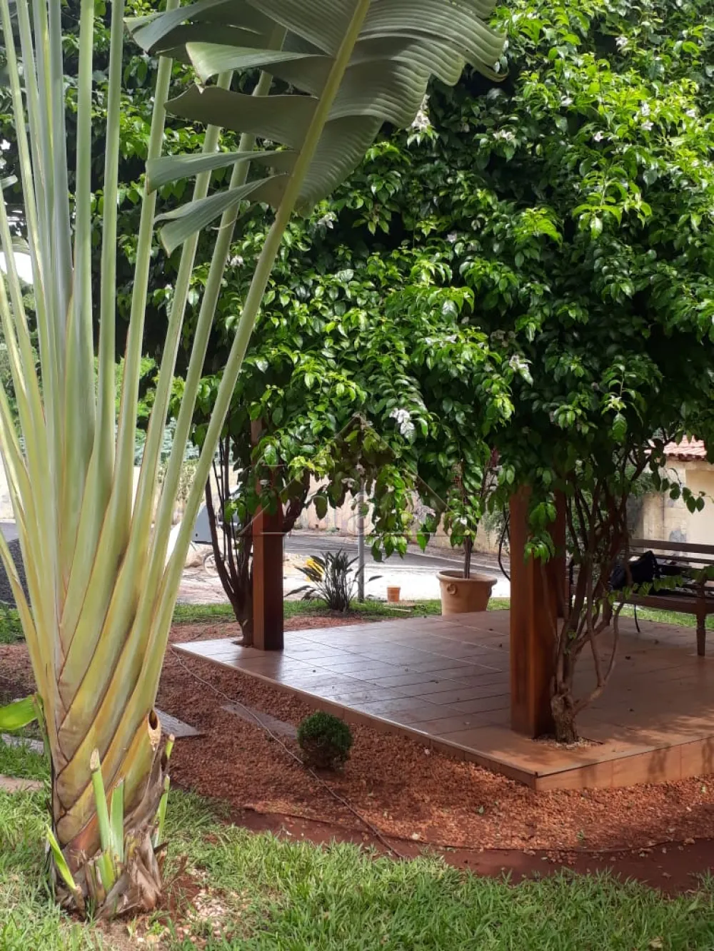 Alugar Apartamentos / Apartamento em Ribeir&atilde;o Preto R$ 1.000,00 - Foto 14