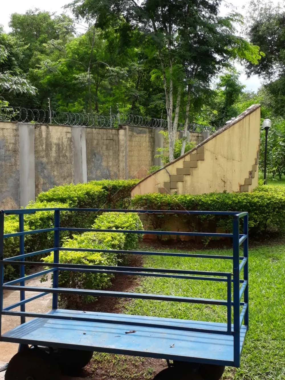 Alugar Apartamentos / Apartamento em Ribeir&atilde;o Preto R$ 1.000,00 - Foto 15