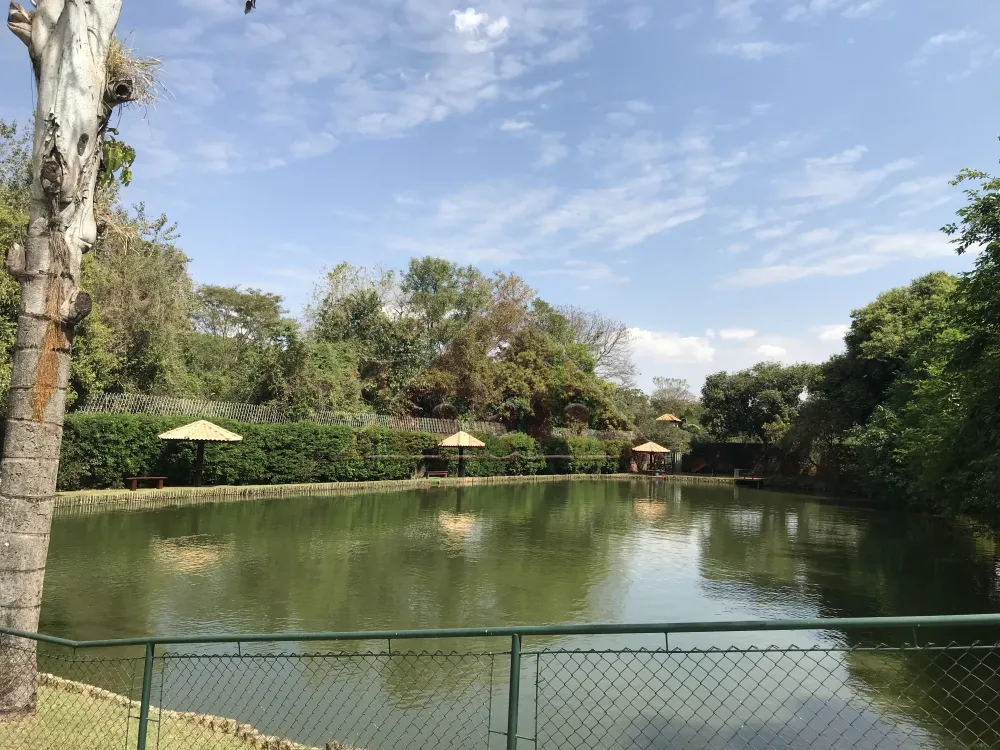 Alugar Casas / condom&iacute;nio fechado em Ribeir&atilde;o R$ 15.000,00 - Foto 29