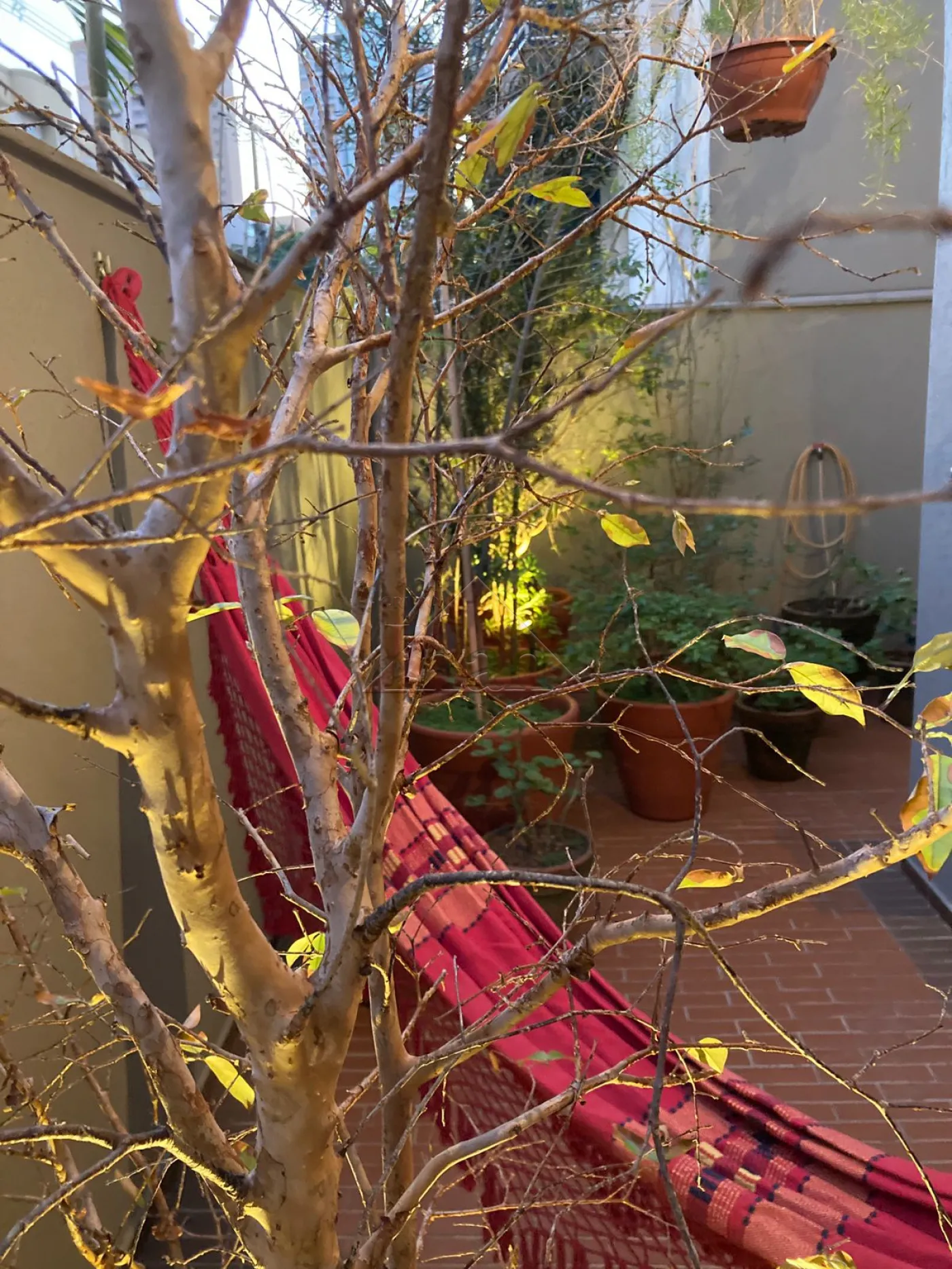 Comprar Apartamentos / apto de moradia em Ribeir&atilde;o Preto R$ 450.000,00 - Foto 30