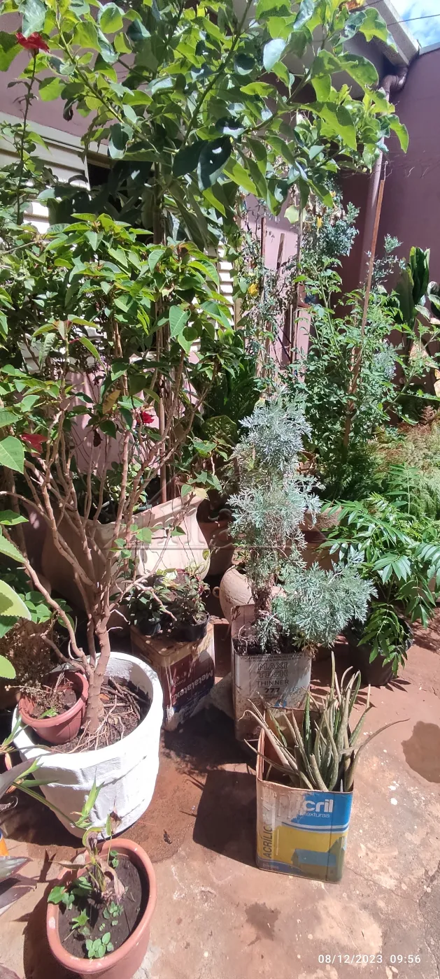 Comprar Casas / Casa em Ribeir&atilde;o Preto R$ 800.000,00 - Foto 14