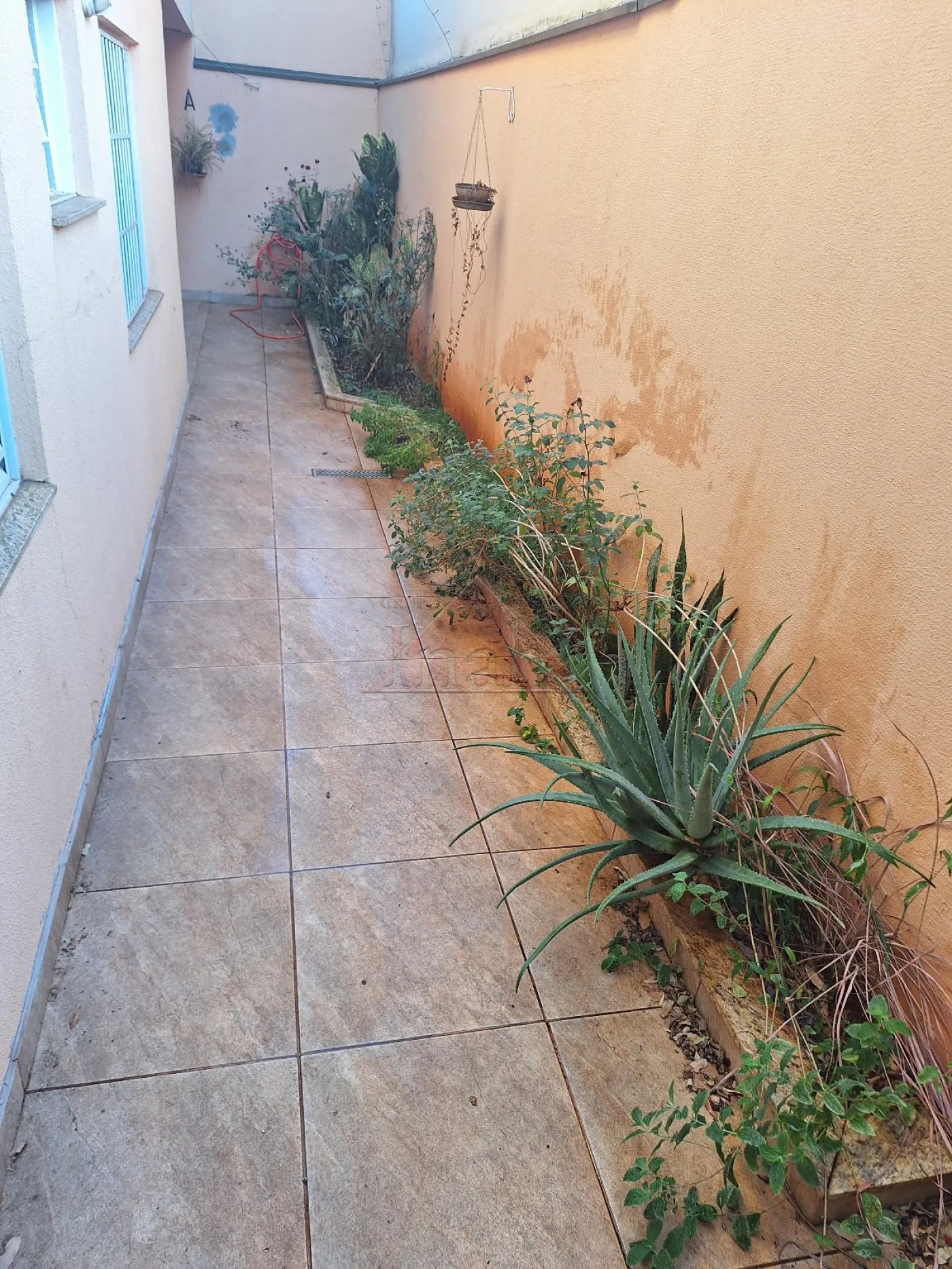 Alugar Apartamentos / apto de moradia em Ribeirão Preto R$ 2.700,00 - Foto 4