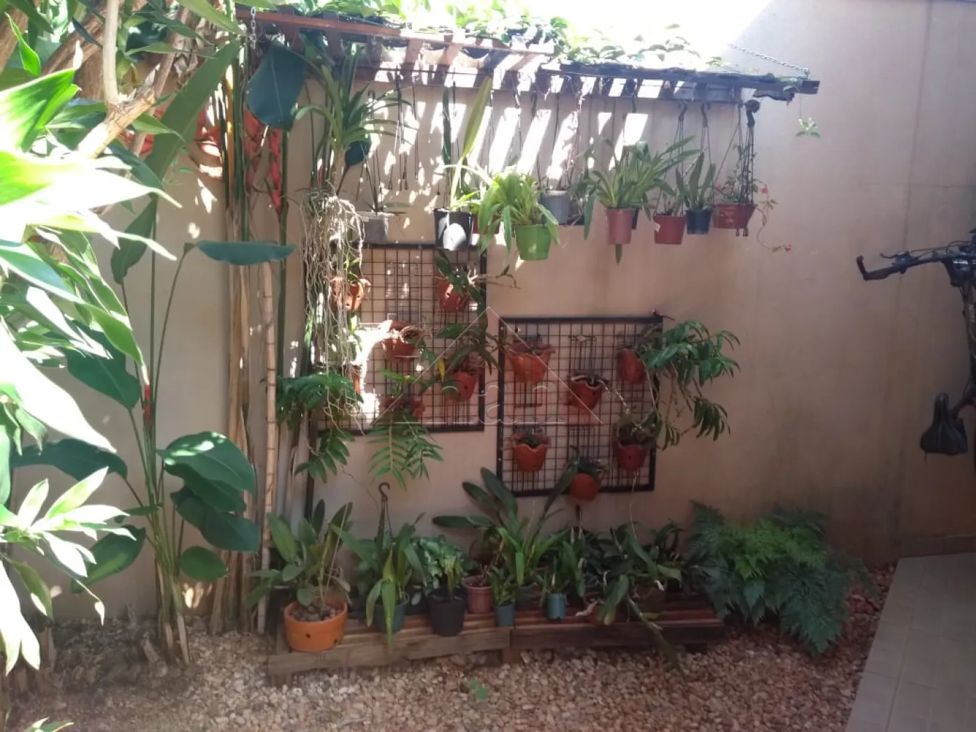 Alugar Casas / Casa em Ribeir&atilde;o Preto R$ 6.200,00 - Foto 32