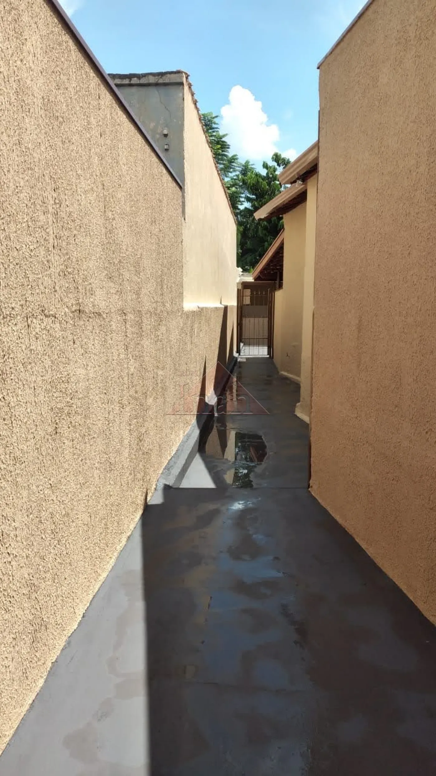 Alugar Casas / Casa em Ribeir&atilde;o Preto R$ 1.300,00 - Foto 13