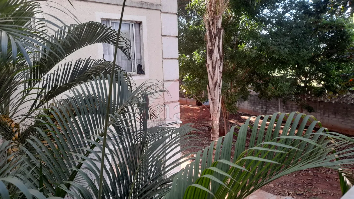 Alugar Apartamentos / Apartamento em Ribeir&atilde;o Preto R$ 950,00 - Foto 15