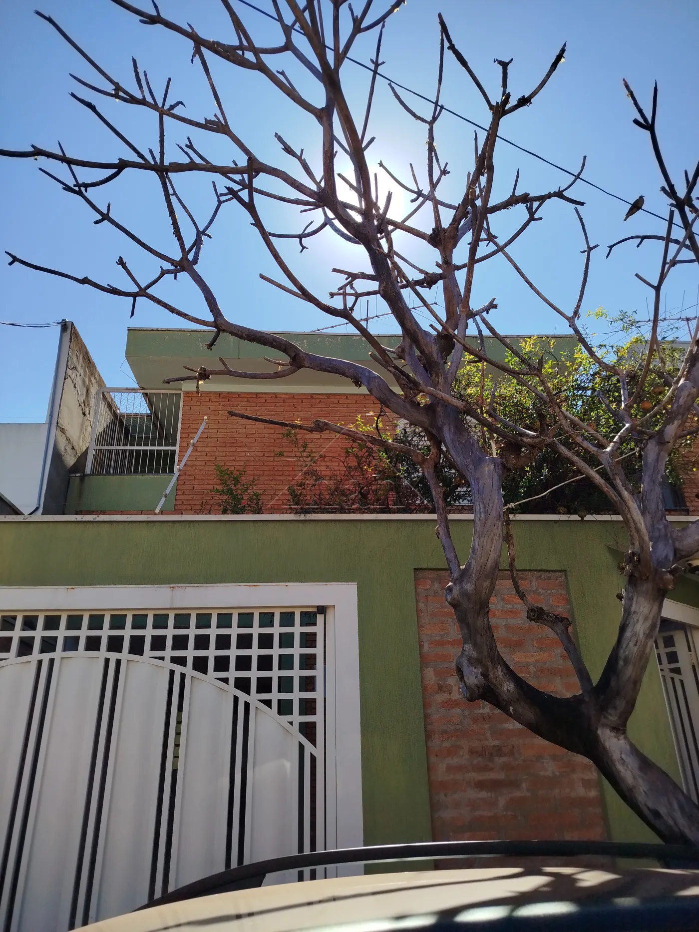 Alugar Casas / Sobrado em Ribeir&atilde;o Preto R$ 2.000,00 - Foto 37