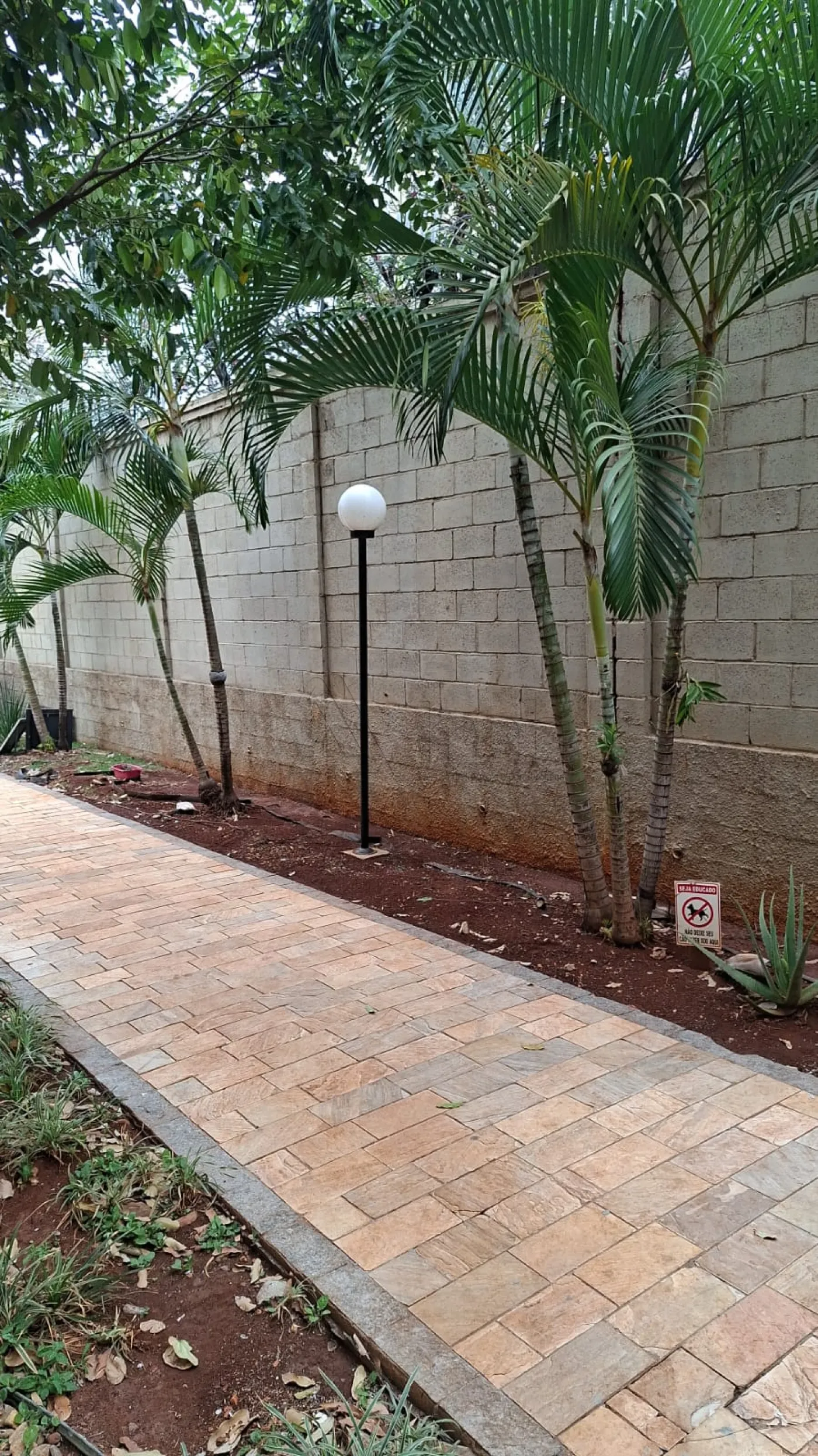 Alugar Apartamentos / Apartamento em Ribeir&atilde;o Preto R$ 900,00 - Foto 5