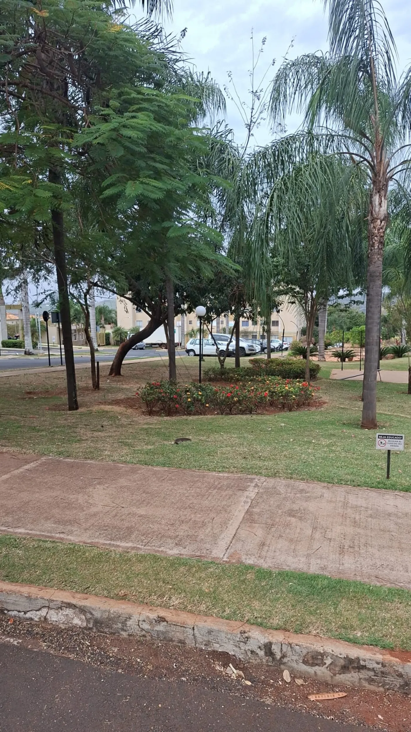 Alugar Apartamentos / Apartamento em Ribeir&atilde;o Preto R$ 900,00 - Foto 6