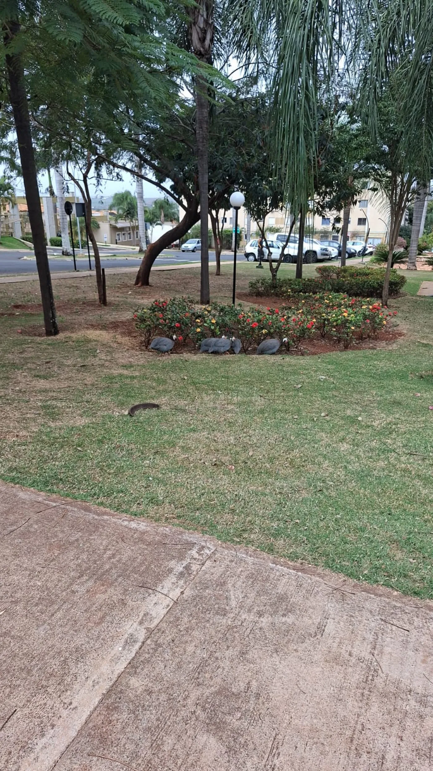 Alugar Apartamentos / Apartamento em Ribeir&atilde;o Preto R$ 900,00 - Foto 7