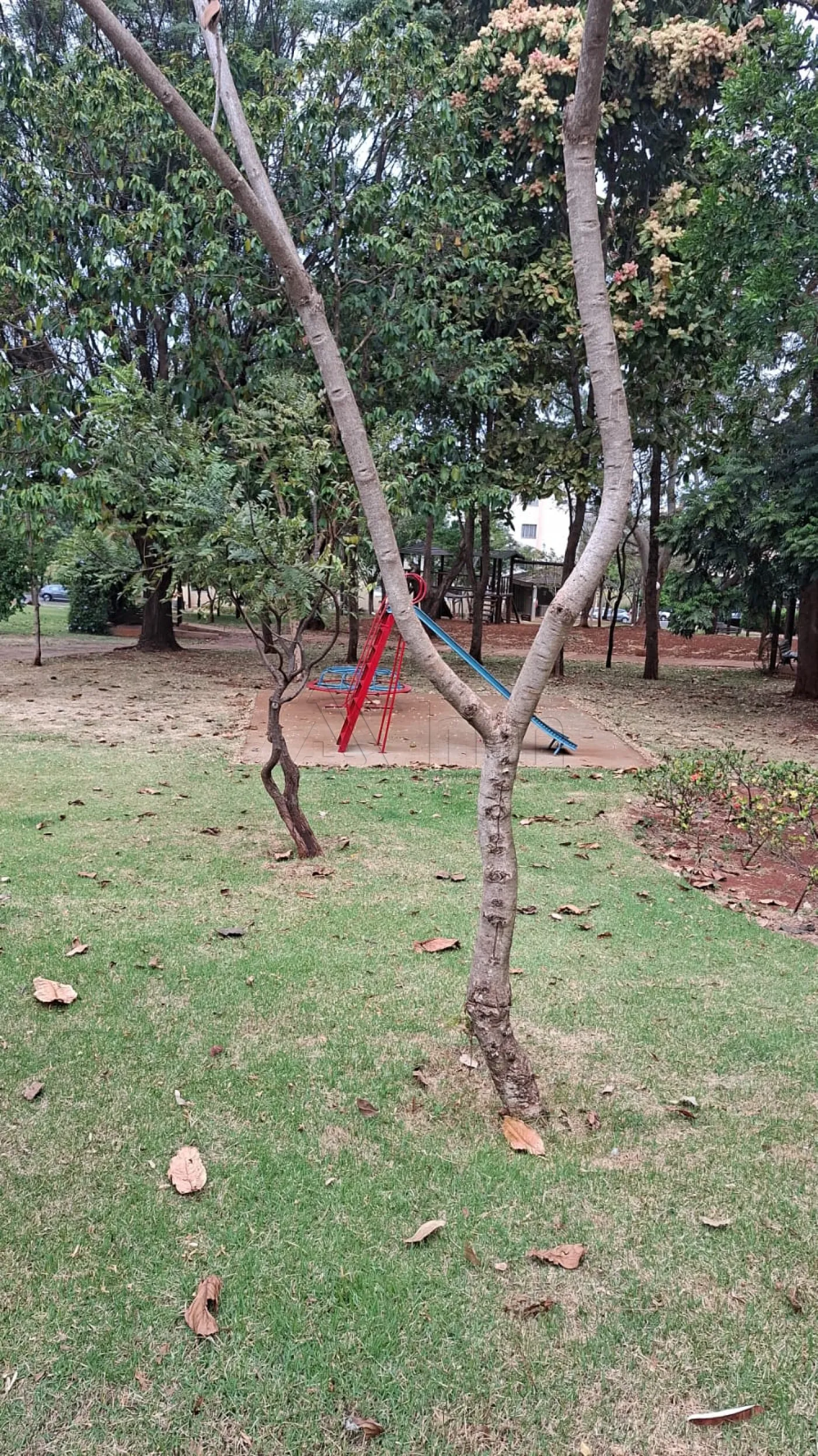 Alugar Apartamentos / Apartamento em Ribeir&atilde;o Preto R$ 900,00 - Foto 9
