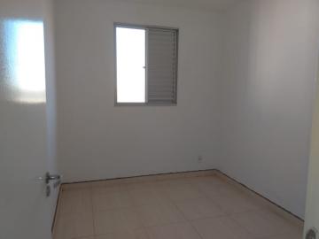 Alugar Apartamentos / Apartamento em Ribeir&atilde;o Preto. apenas R$ 1.600,00