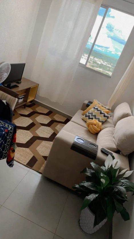 Alugar Apartamentos / Apartamento em Ribeir&atilde;o Preto. apenas R$ 1.600,00