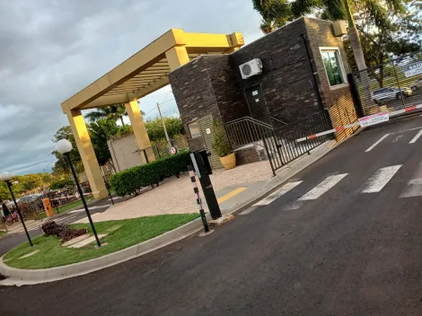 Ribeir&atilde;o Preto - Reserva Real - Apartamentos - apto de moradia - Loca&ccedil;ao