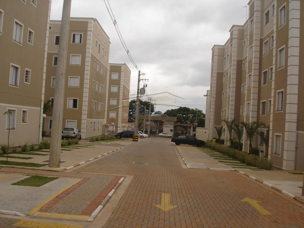 Alugar Apartamentos / Padr&atilde;o em Suzano R$ 900,00 - Foto 1