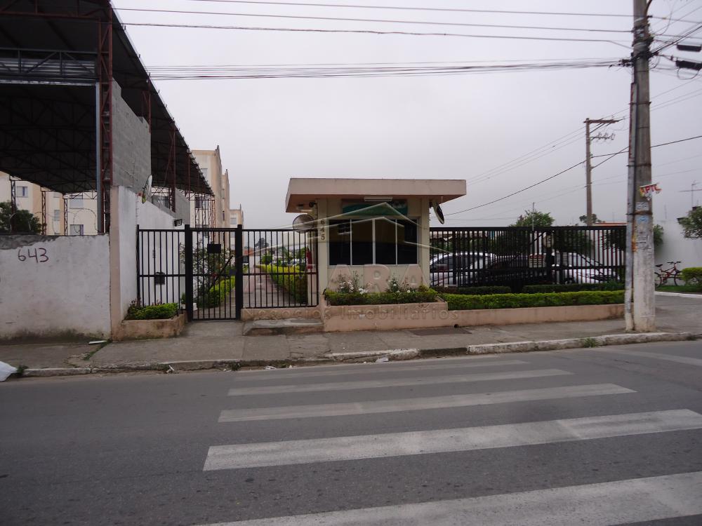 Alugar Apartamentos / Padr&atilde;o em Suzano R$ 1.000,00 - Foto 10