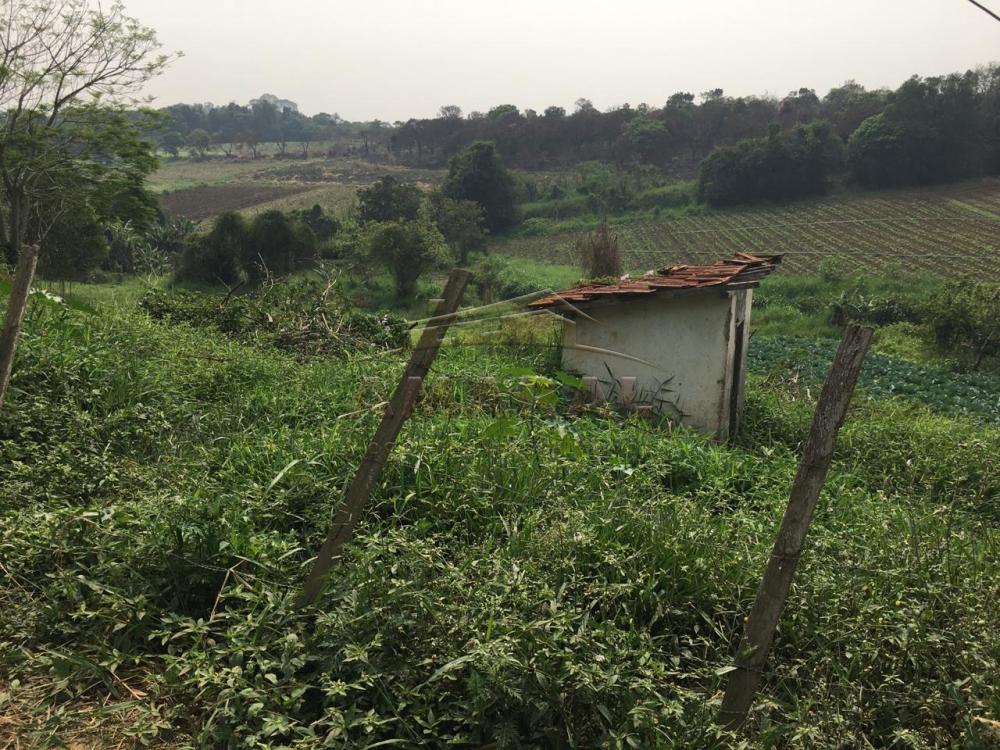 Comprar Terrenos / Terreno em Suzano R$ 480.000,00 - Foto 1