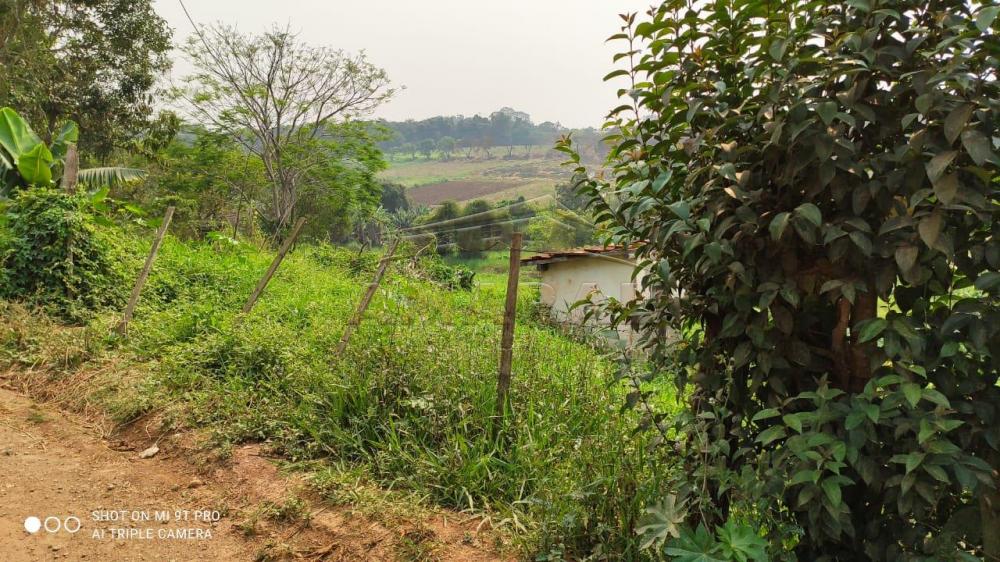 Comprar Terrenos / Terreno em Suzano R$ 480.000,00 - Foto 4