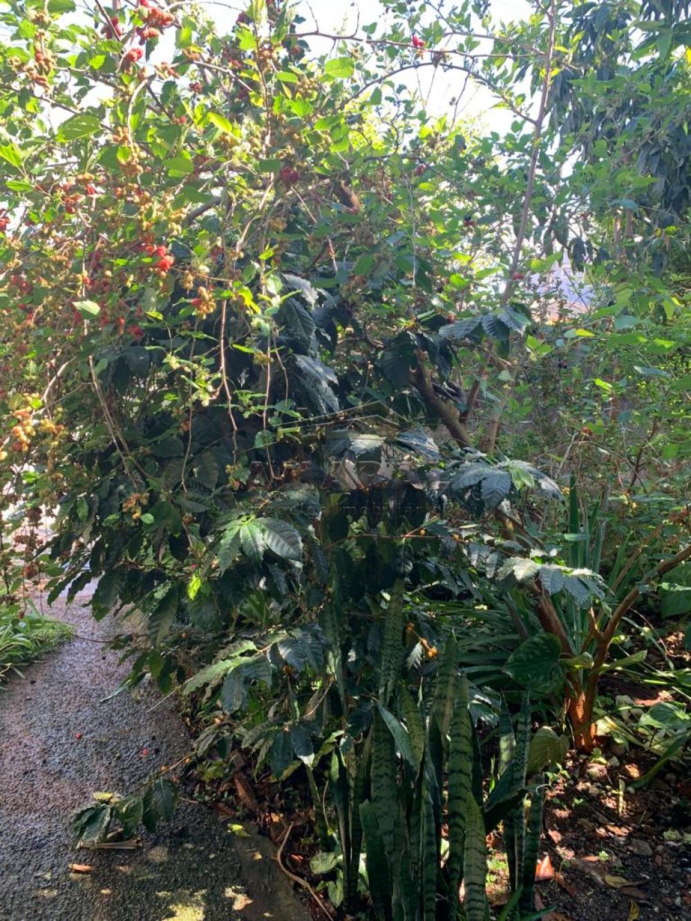 Comprar Casas / T&eacute;rrea em Suzano R$ 320.000,00 - Foto 10