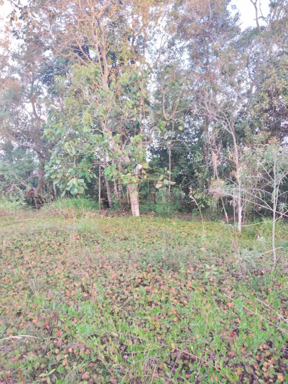 Comprar Terrenos / Terreno em Suzano R$ 680.000,00 - Foto 6