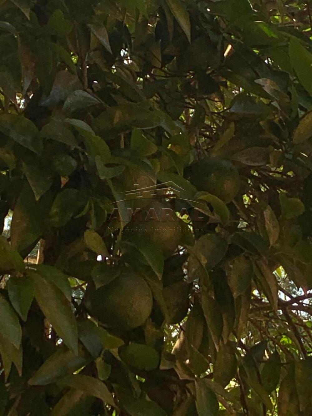 Comprar Terrenos / &Aacute;rea em Suzano R$ 2.866.500,00 - Foto 11