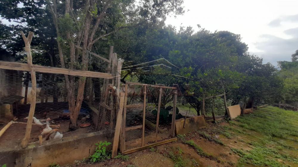 Comprar Rurais / Ch&aacute;cara em Suzano R$ 480.000,00 - Foto 12