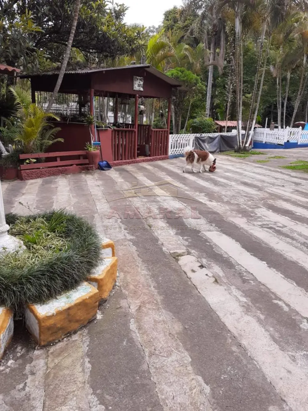 Comprar Rurais / Ch&aacute;cara em Suzano R$ 750.000,00 - Foto 10