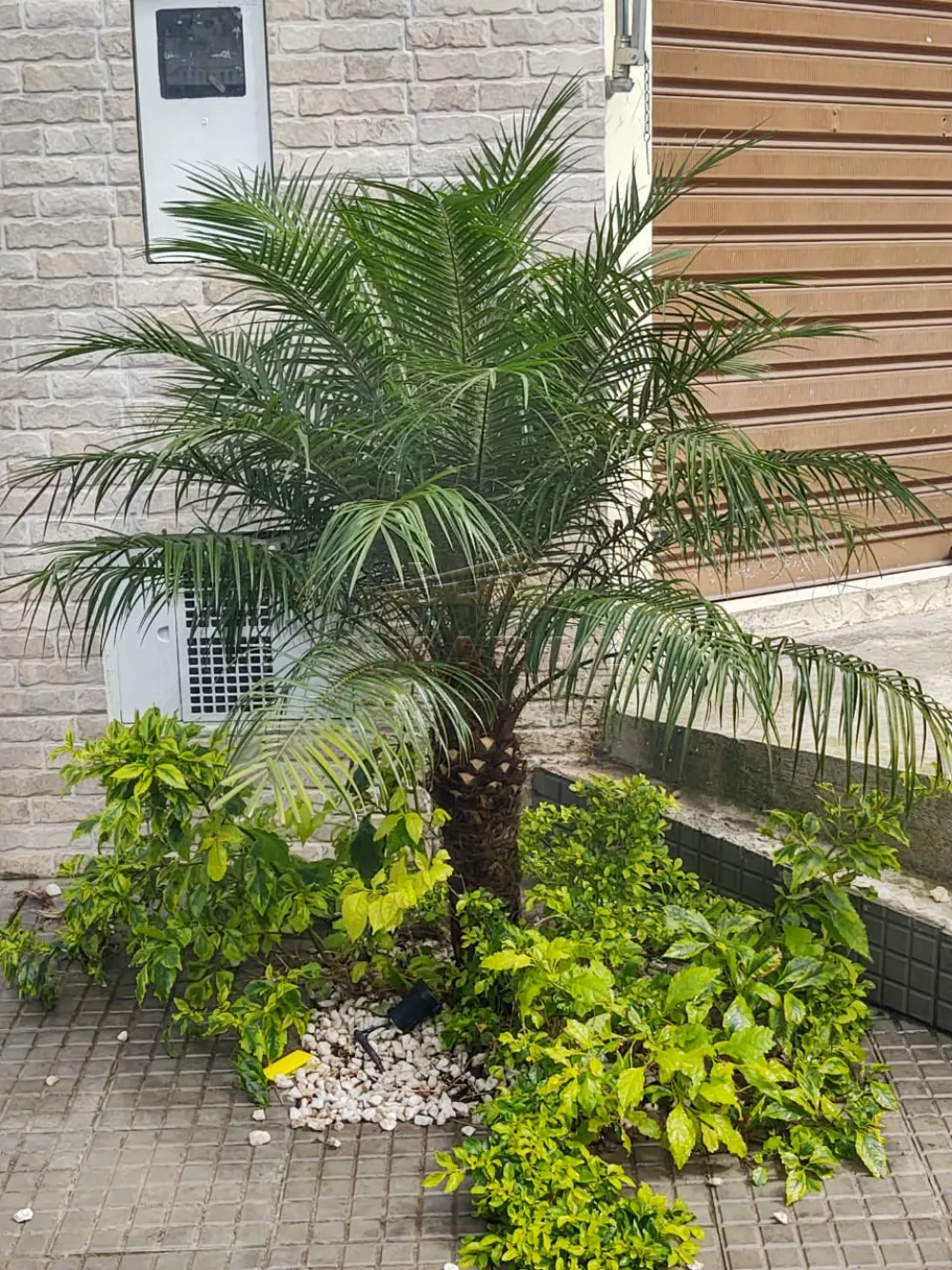 Comprar Casas / Sobrado em São Paulo R$ 900.000,00 - Foto 24