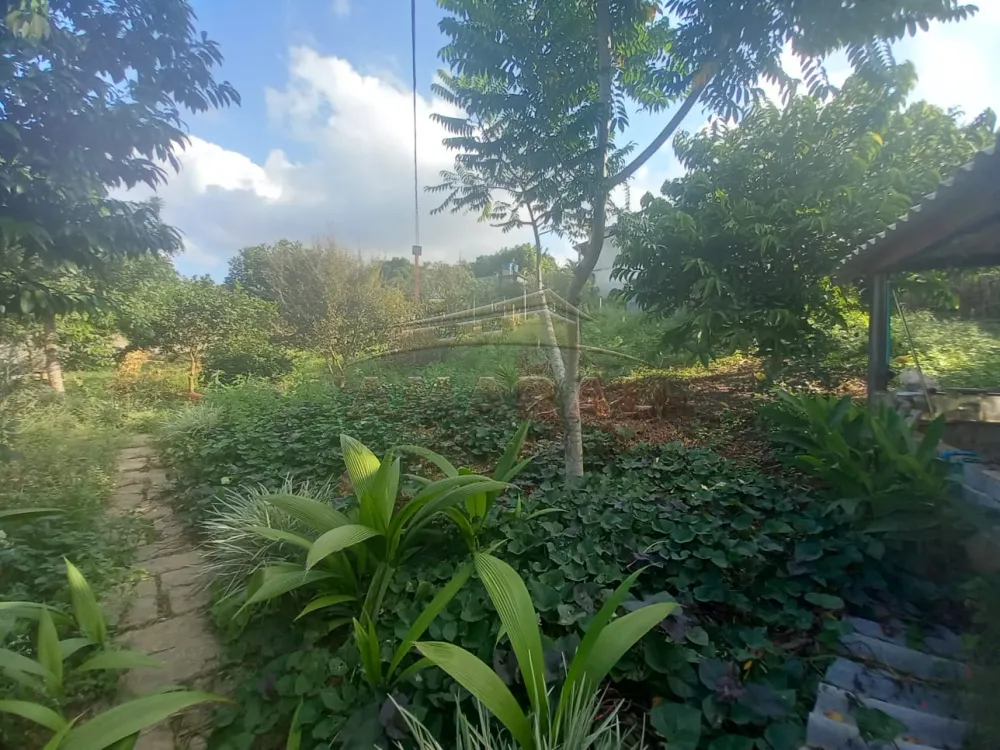 Comprar Rurais / Ch&aacute;cara em Suzano R$ 600.000,00 - Foto 5