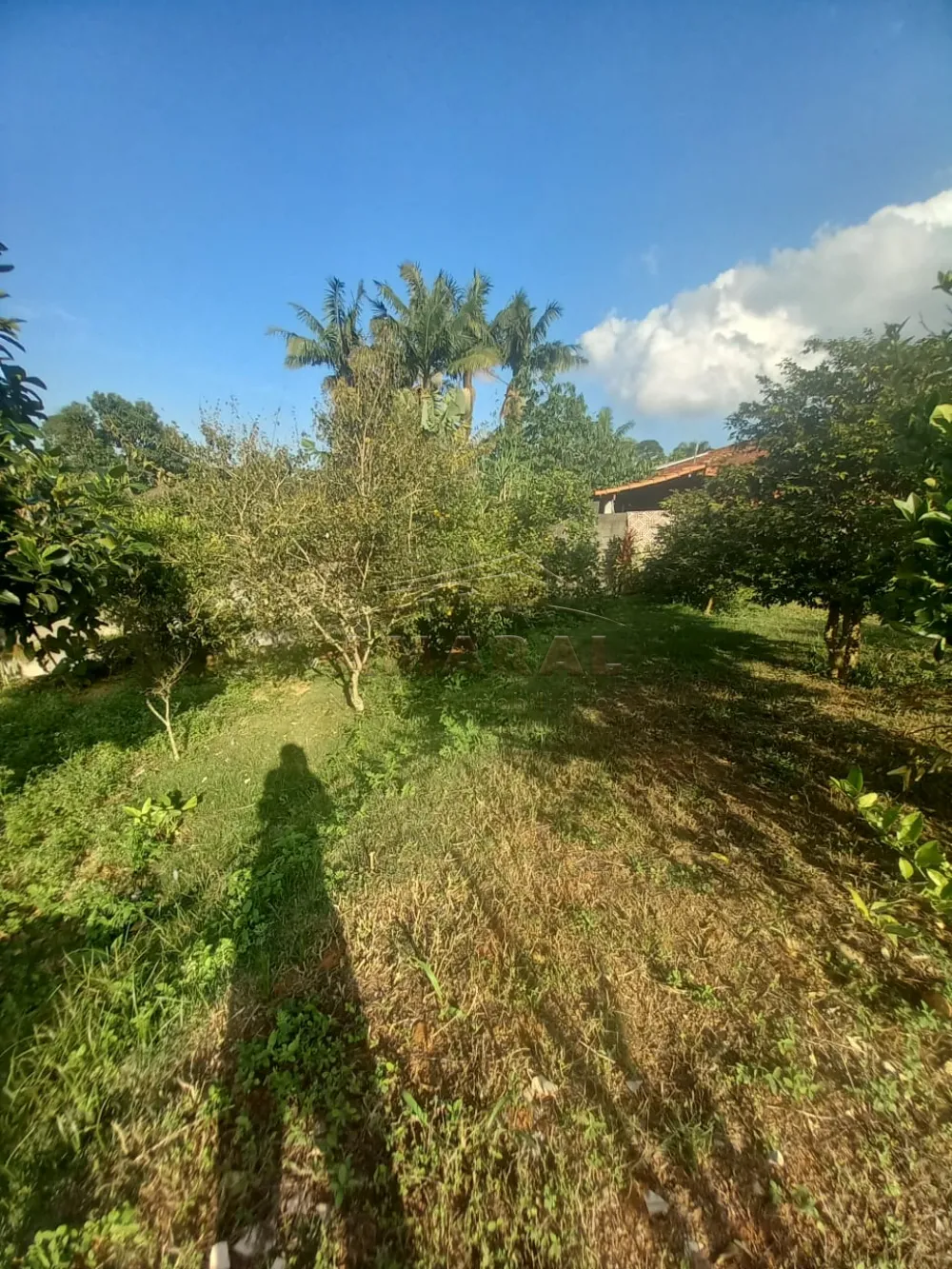 Comprar Rurais / Ch&aacute;cara em Suzano R$ 600.000,00 - Foto 4