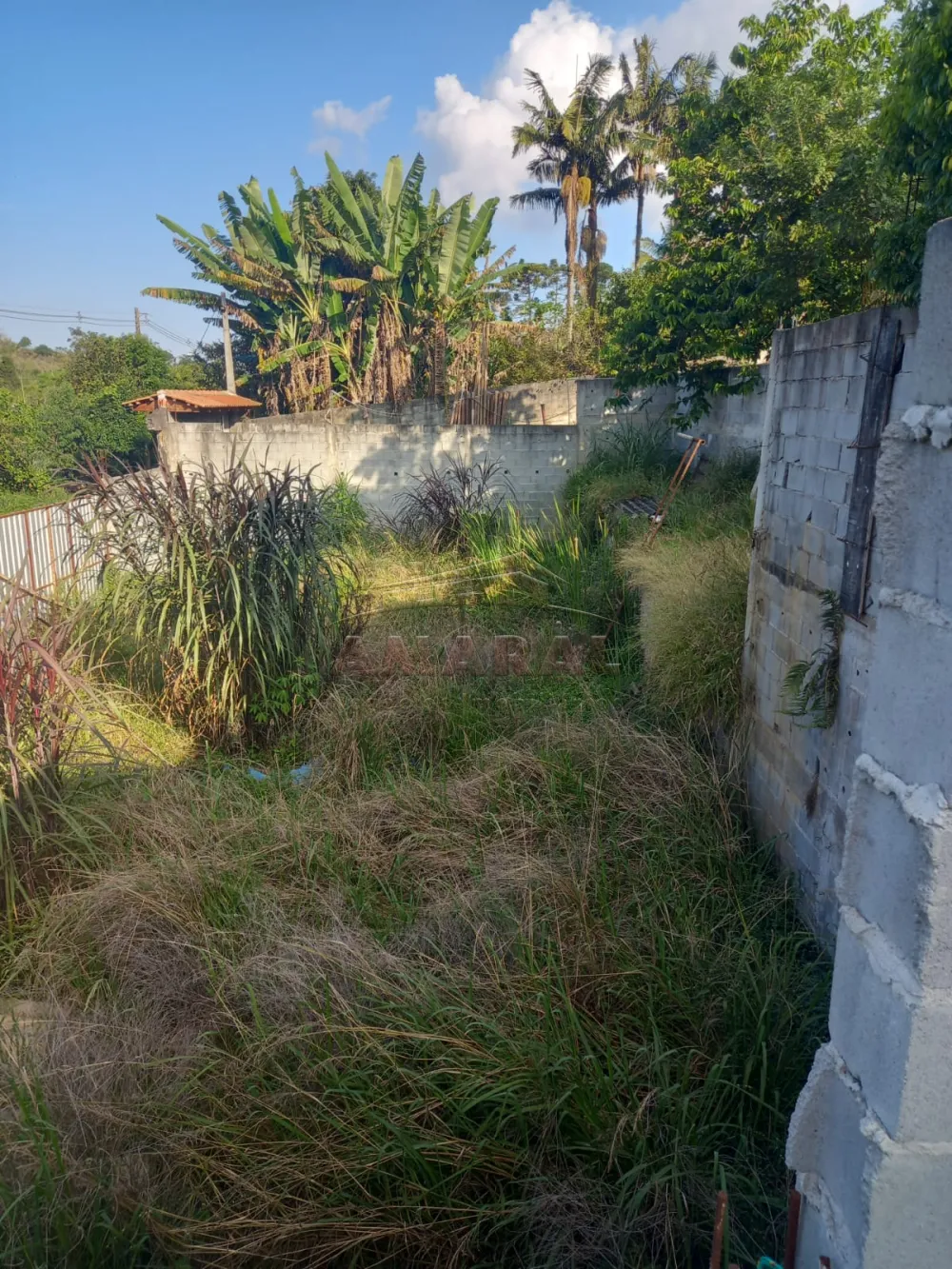 Comprar Rurais / Ch&aacute;cara em Suzano R$ 600.000,00 - Foto 6