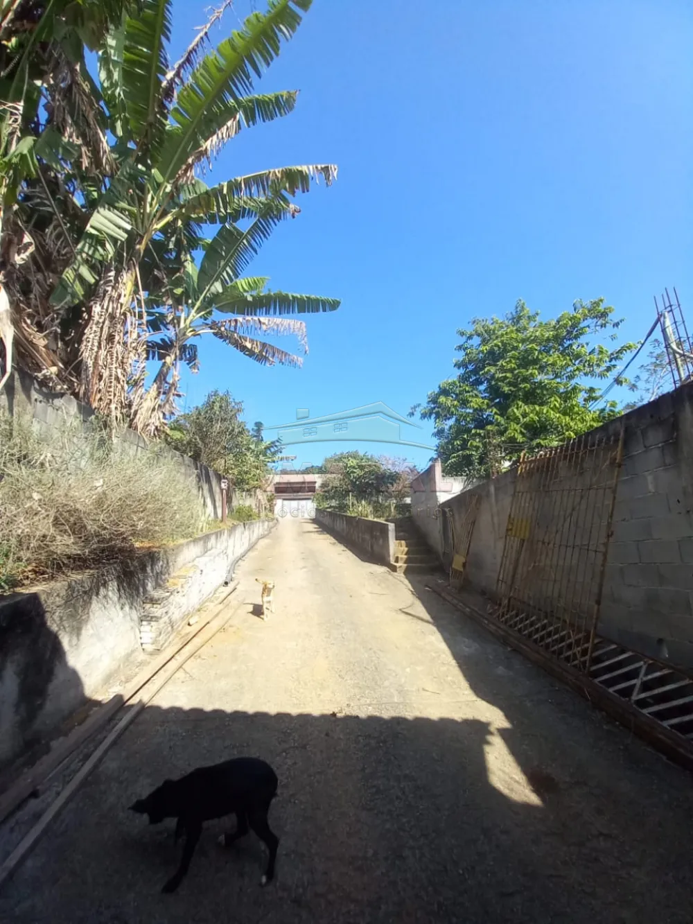 Comprar Rurais / Ch&aacute;cara em Suzano R$ 600.000,00 - Foto 7