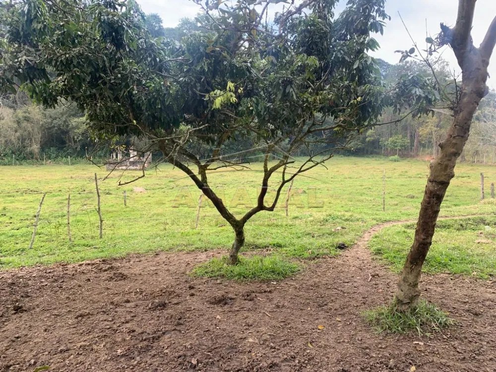 Comprar Rurais / Ch&aacute;cara em Santa Isabel R$ 750.000,00 - Foto 9