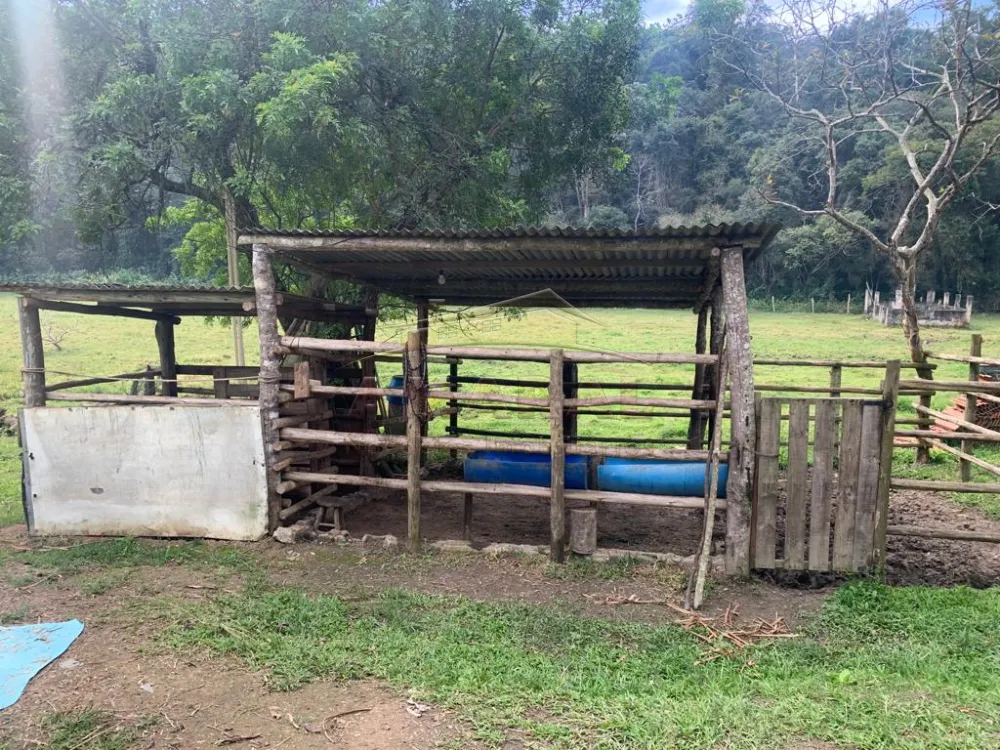 Comprar Rurais / Ch&aacute;cara em Santa Isabel R$ 750.000,00 - Foto 11