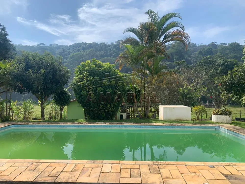 Comprar Rurais / Ch&aacute;cara em Santa Isabel R$ 750.000,00 - Foto 15