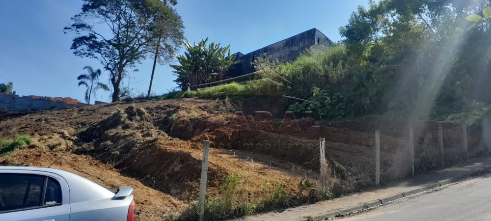 Comprar Terrenos / Terreno em Mogi das Cruzes R$ 220.000,00 - Foto 4