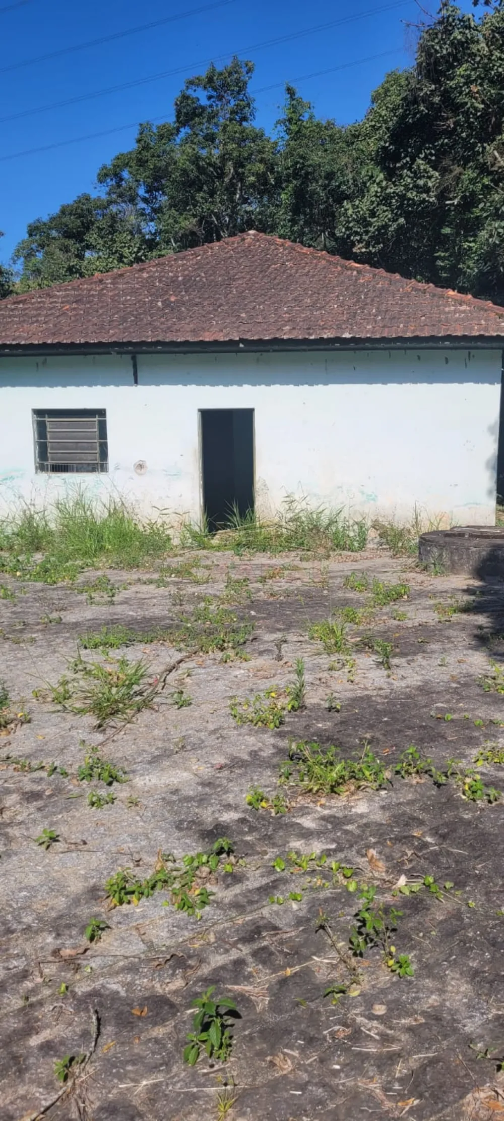 Comprar Rurais / S&iacute;tio em Suzano R$ 4.430.000,00 - Foto 4