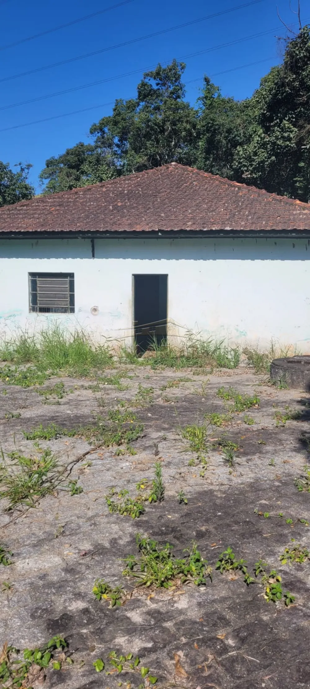 Comprar Rurais / S&iacute;tio em Suzano R$ 4.430.000,00 - Foto 2