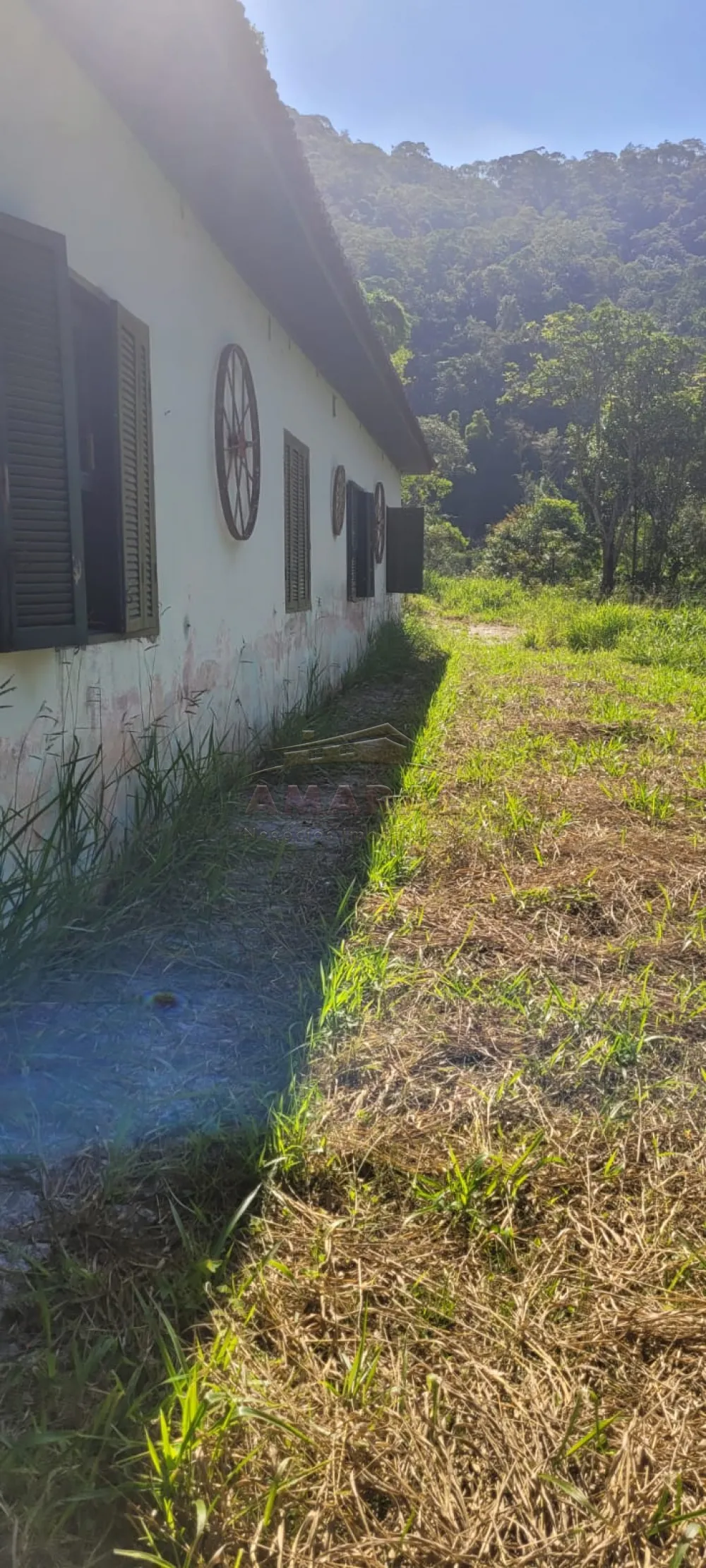 Comprar Rurais / S&iacute;tio em Suzano R$ 4.430.000,00 - Foto 3