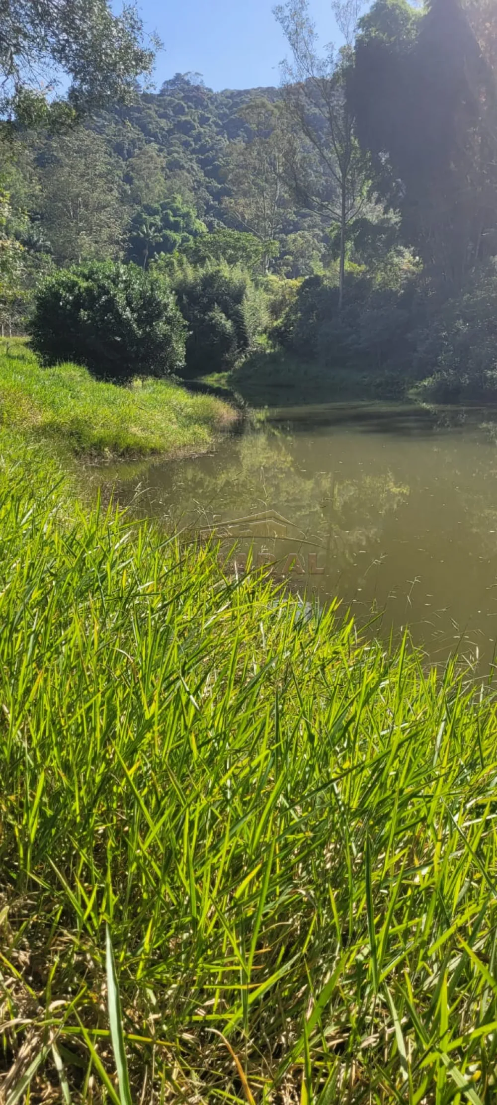 Comprar Rurais / S&iacute;tio em Suzano R$ 4.430.000,00 - Foto 10