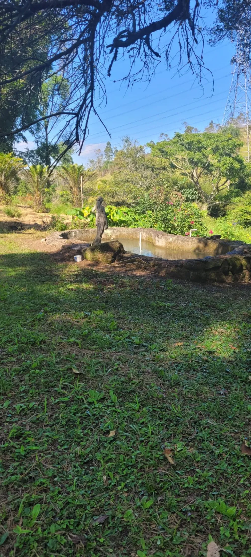 Comprar Rurais / S&iacute;tio em Suzano R$ 4.430.000,00 - Foto 17