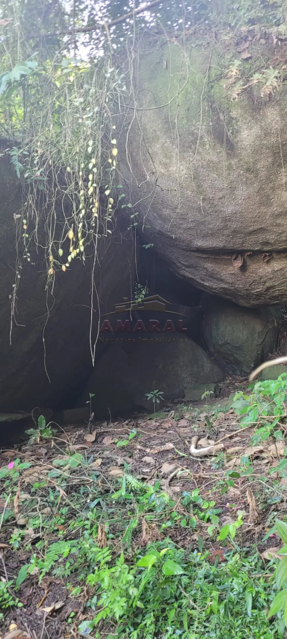 Comprar Rurais / S&iacute;tio em Suzano R$ 4.430.000,00 - Foto 21