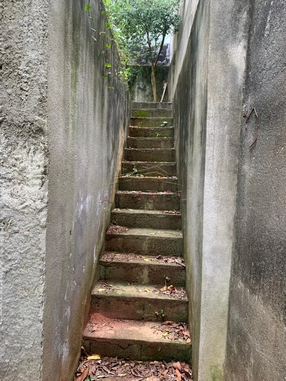 Alugar Terrenos / Terreno em Suzano R$ 800,00 - Foto 6