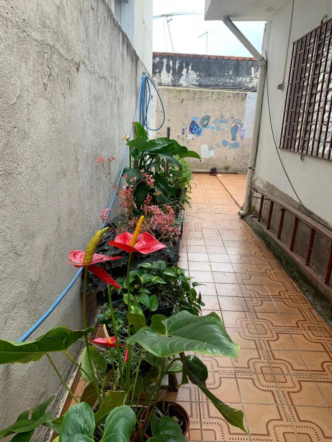 Comprar Casas / T&eacute;rrea em Suzano R$ 500.000,00 - Foto 10