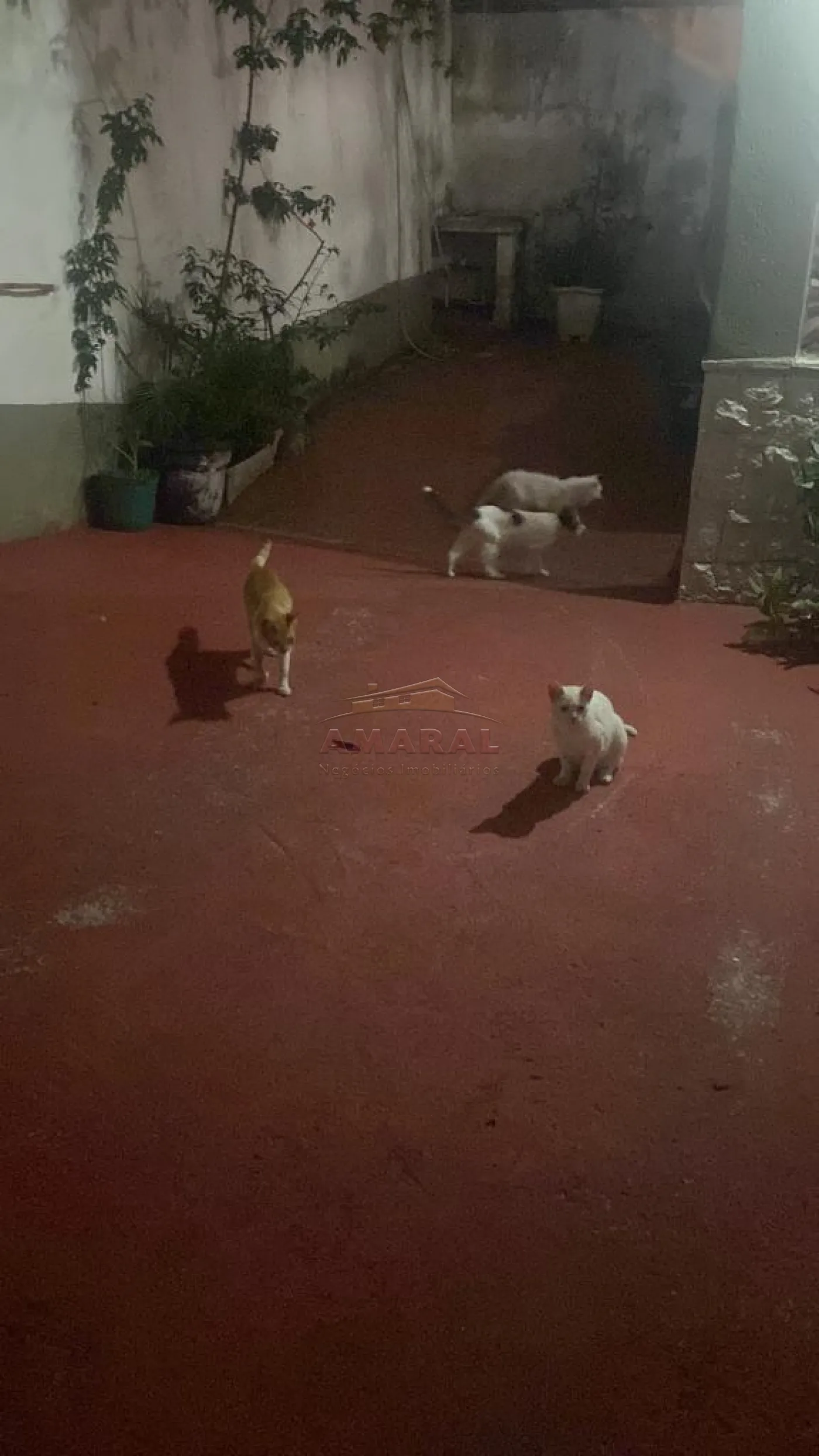 Comprar Casas / T&eacute;rrea em Suzano R$ 450.000,00 - Foto 7