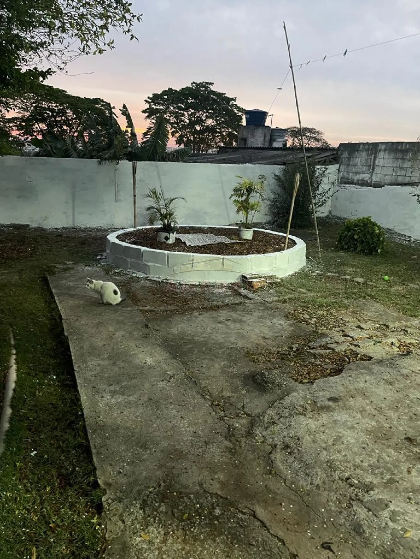 Comprar Casas / T&eacute;rrea em Suzano R$ 450.000,00 - Foto 14
