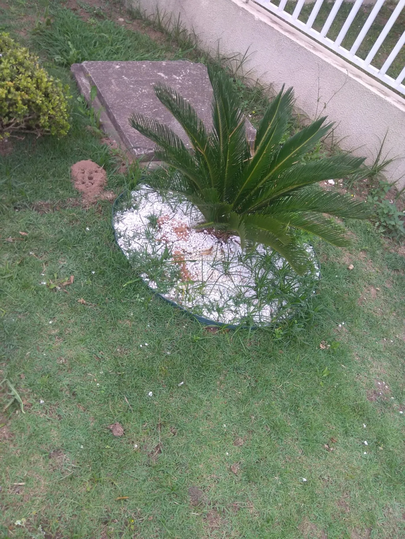 Comprar Apartamentos / Padr&atilde;o em Ferraz de Vasconcelos R$ 200.000,00 - Foto 13