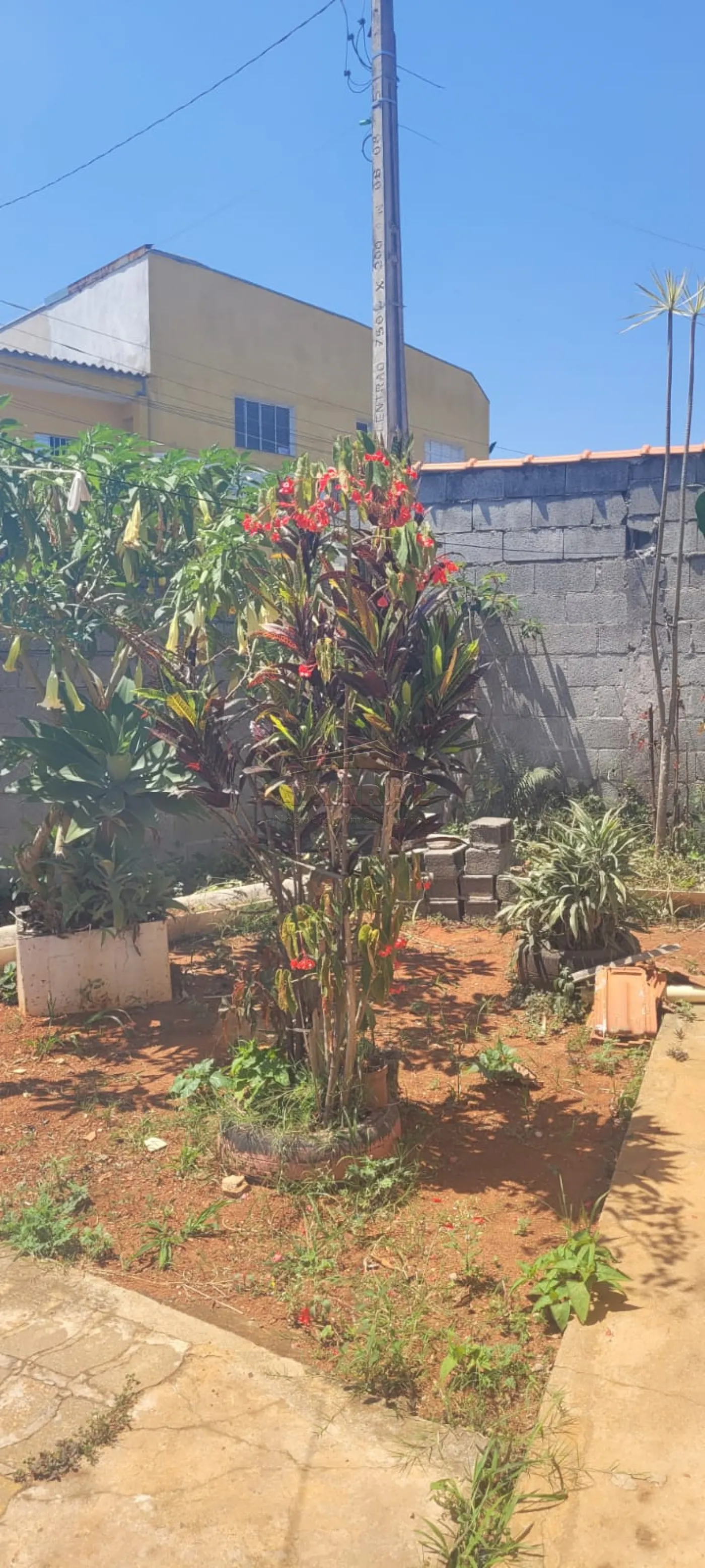 Comprar Casas / T&eacute;rrea em Suzano R$ 300.000,00 - Foto 14